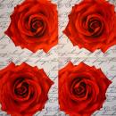 029 Rosen - 3-lagig (blau)